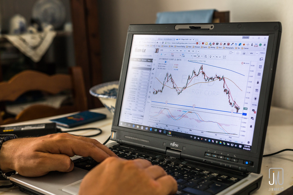 Person reviewing a chart on a laptop